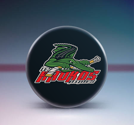 Logo roller hockey Nîmois