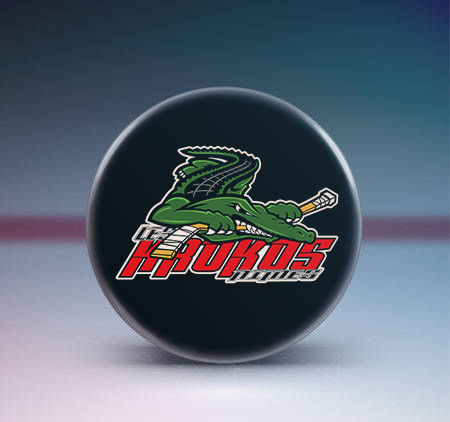 Logo roller hockey Nîmois